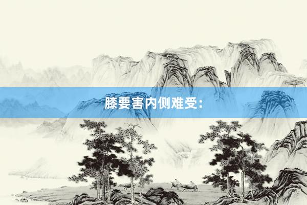 膝要害内侧难受：