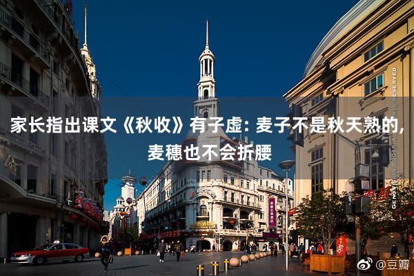 家长指出课文《秋收》有子虚: 麦子不是秋天熟的, 麦穗也不会折腰