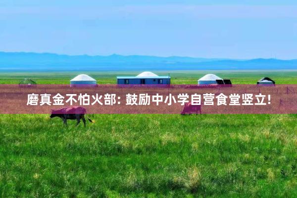磨真金不怕火部: 鼓励中小学自营食堂竖立!