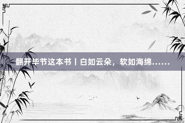 翻开毕节这本书丨白如云朵，软如海绵……